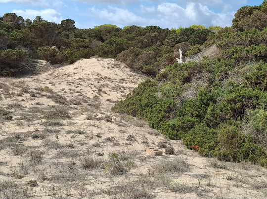 Carrer de la Mar-Es Pujols必去景点