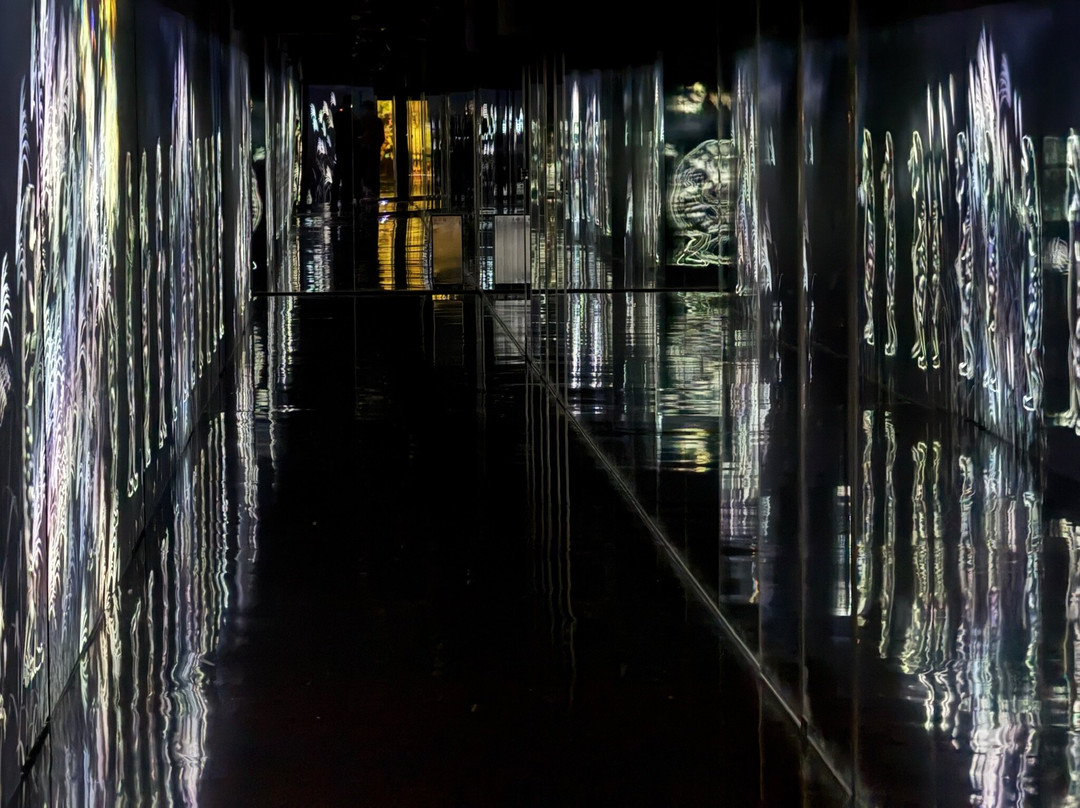 Teamlab Borderless Tokyo Azabudai Hills-港区必去景点