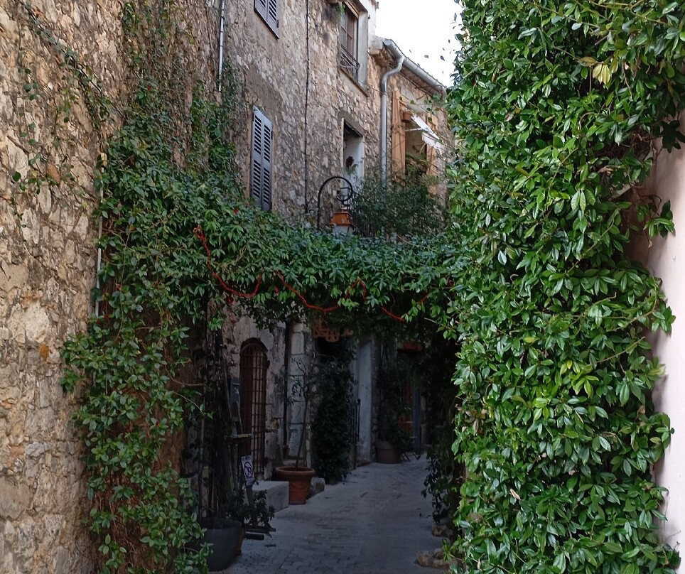 Village de Mougins-穆然必去景点