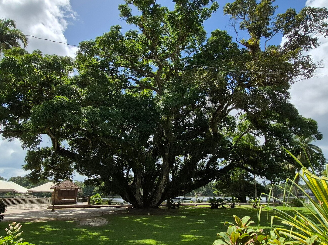 Ride Along GY-乔治城必去景点