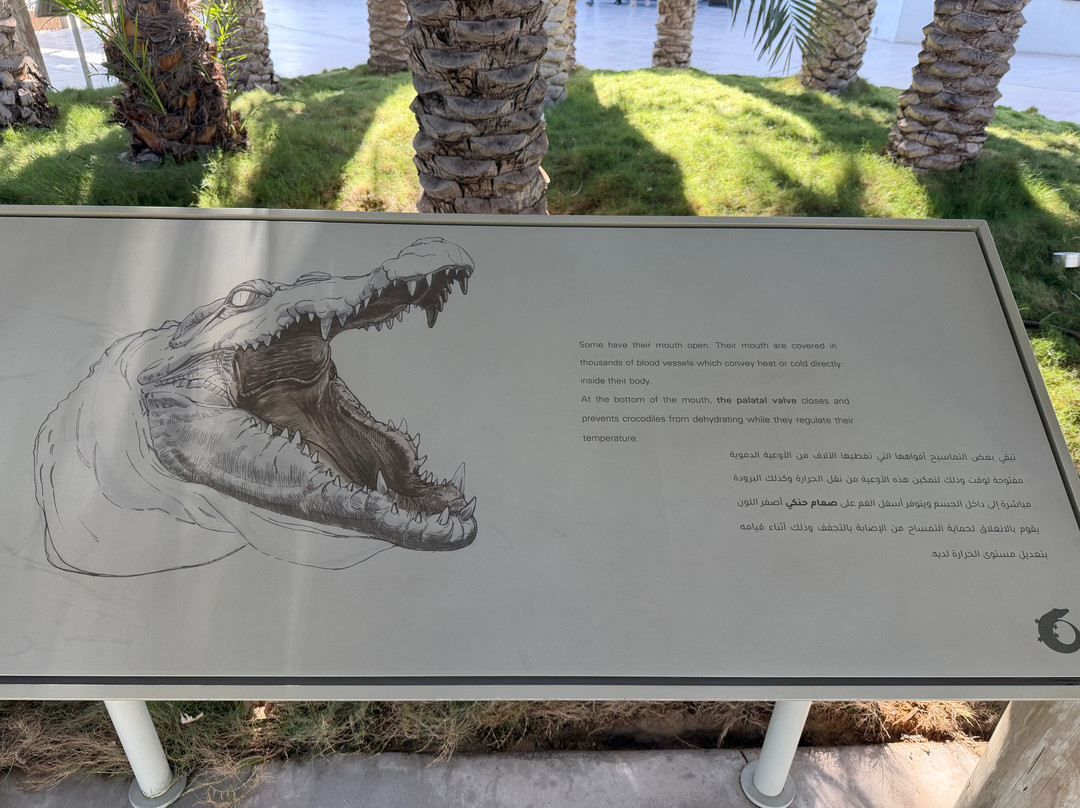 Dubai Crocodile Park-迪拜必去景点