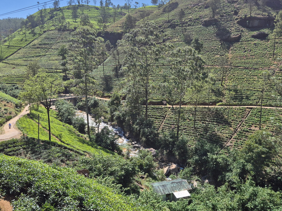 Manu Tours & Travels-亚洪加拉必去景点