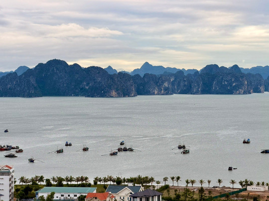 The Watson Premium Halong Hotel主图