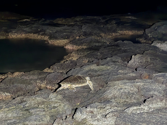 Puako Bay-普阿克必去景点
