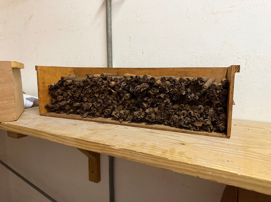 Cigar Country-拉罗马纳必去景点