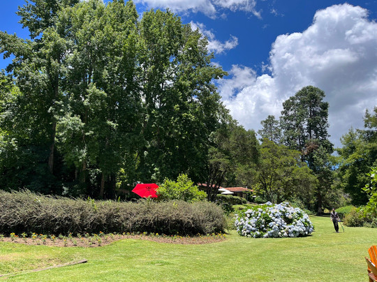 Parque Bambui-坎普斯－杜若尔当必去景点