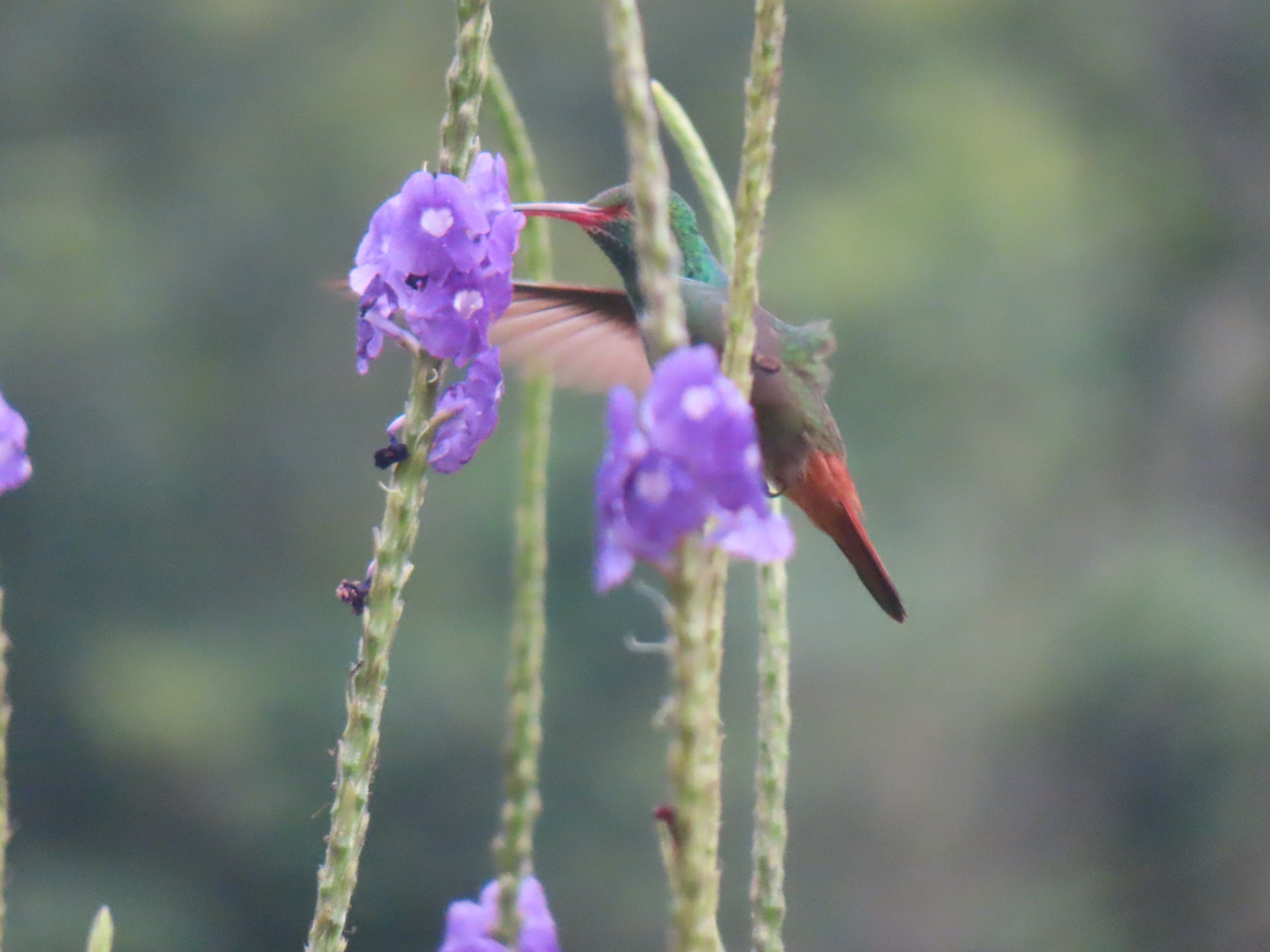 Hotel Villa Manolo-浴室