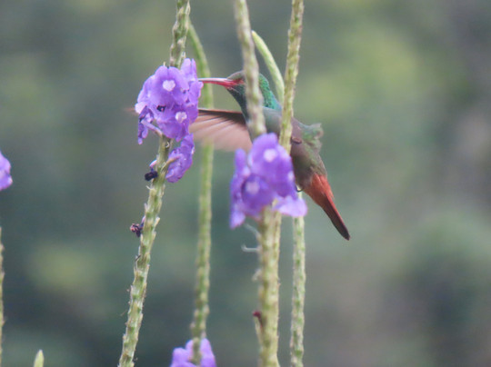 Hotel Villa Manolo主图