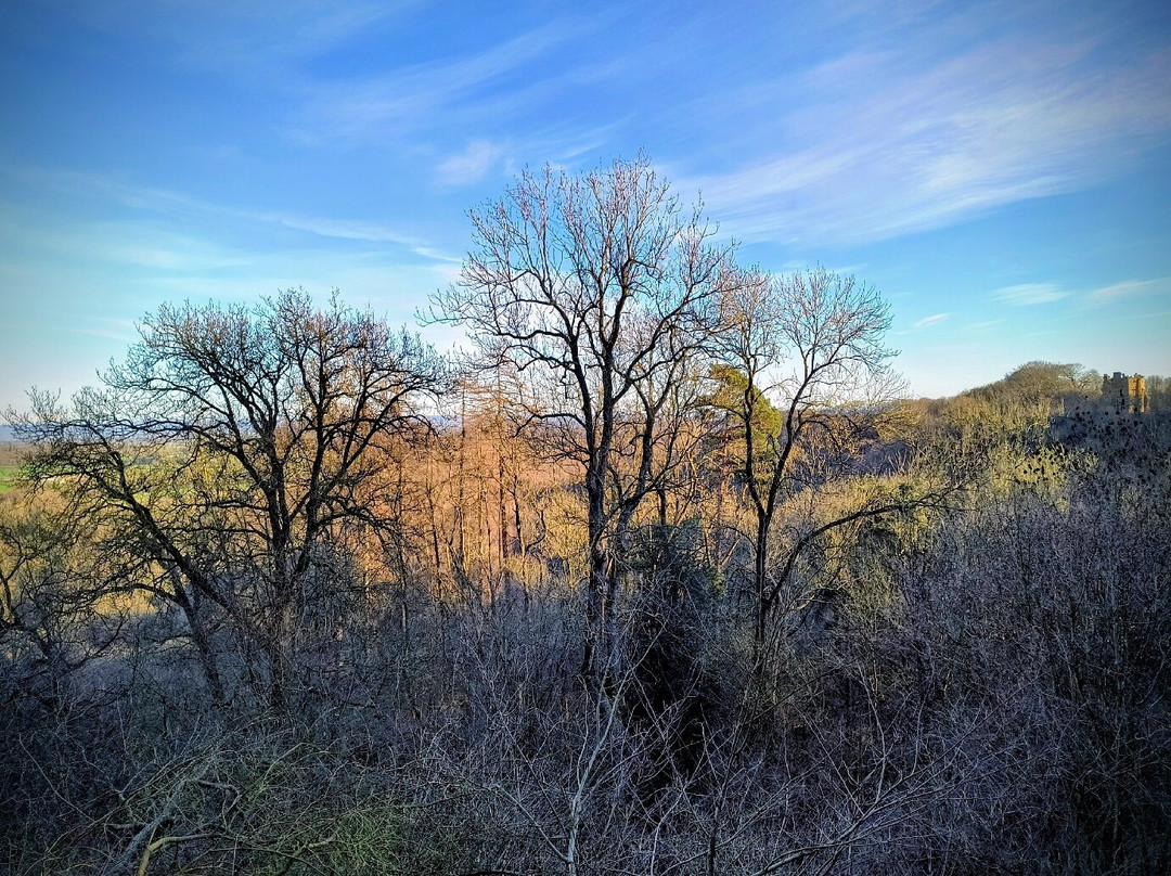 Hackfall Wood-里彭必去景点