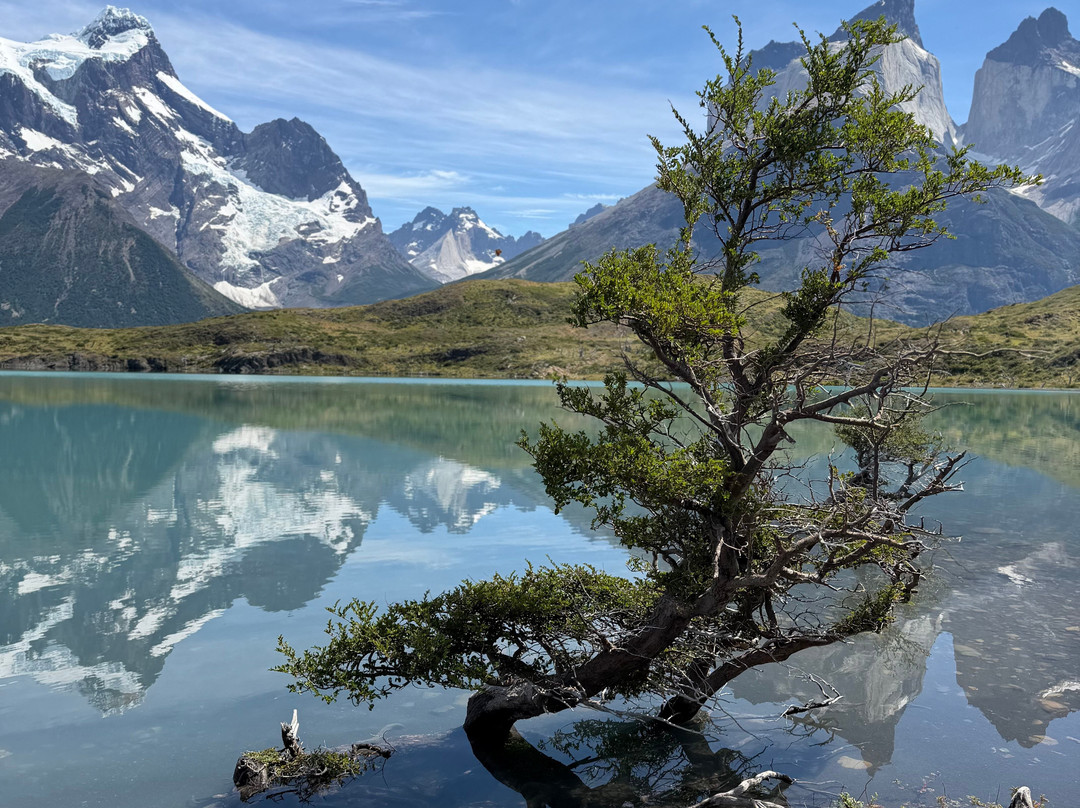 W Circuit Patagonia-纳塔莱斯港必去景点