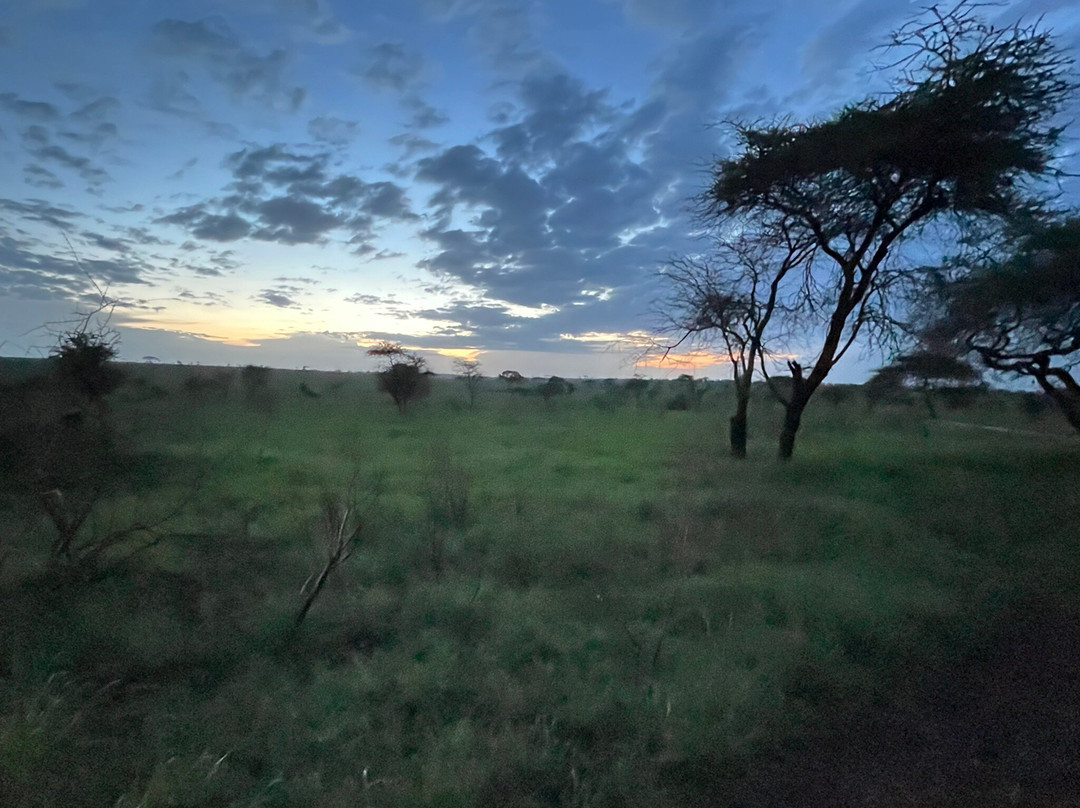 易捷旅游-一日游-阿鲁沙必去景点
