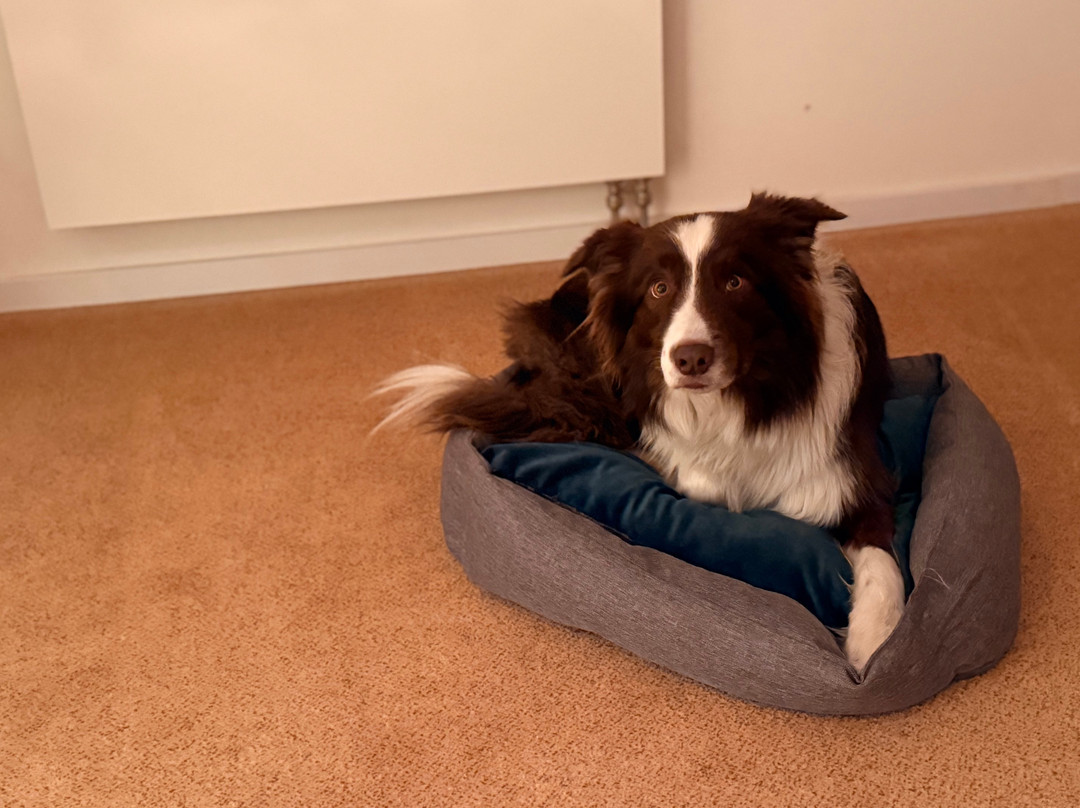 Hotel Navigare Buxtehude