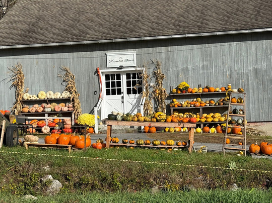 Angevine Farm-Warren必去景点