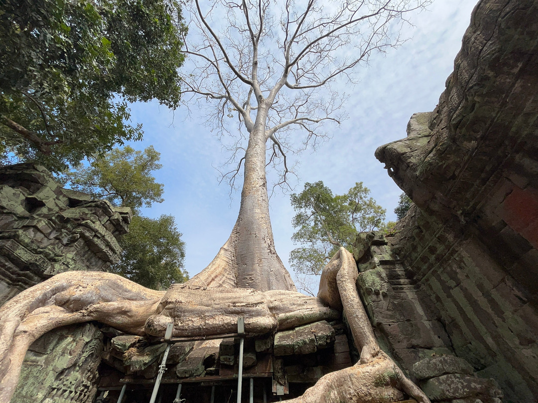 Guía Español Por Angkor Camboya-暹粒必去景点