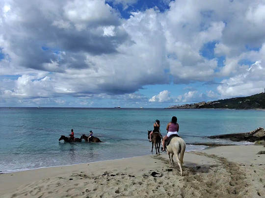 Seaside Nature Park-Sint Maarten必去景点