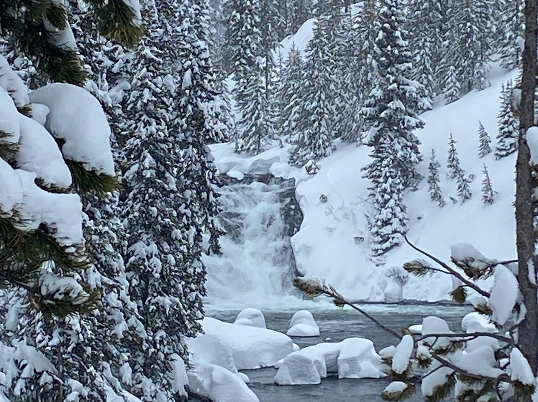 Old Faithful Snowmobile Tours - Day Tours-杰克逊必去景点