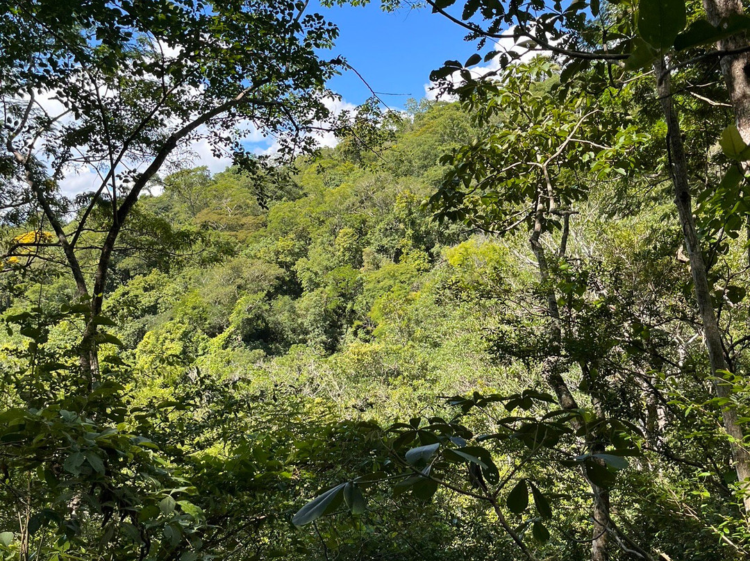 Parque das Cachoeiras-博尼图必去景点