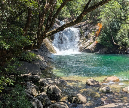 Tropic Tours-凯恩斯必去景点