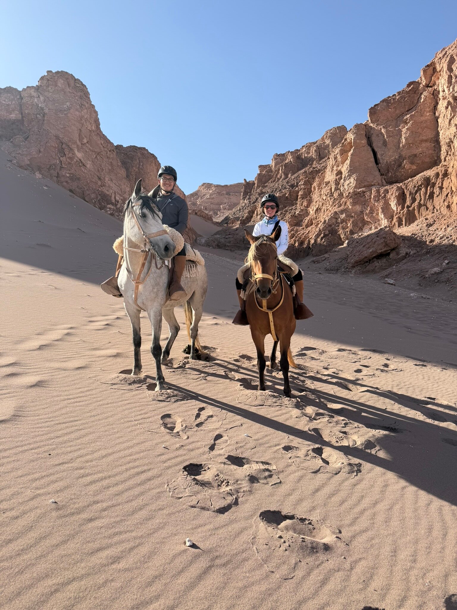 Explora en Atacama-官方