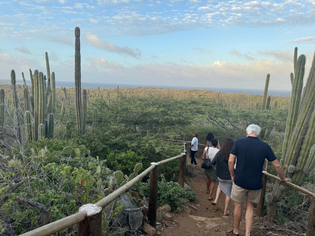 Alto Vista Winery-Noord必去景点
