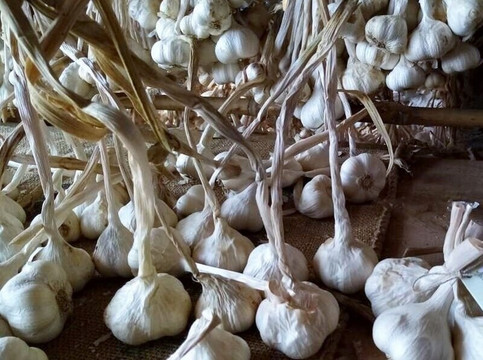 Azienda Agricola Giordano Maurilio-Caraglio必去景点