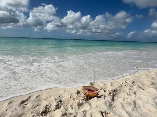 Muy Divertido Excursiones-Dominicus必去景点