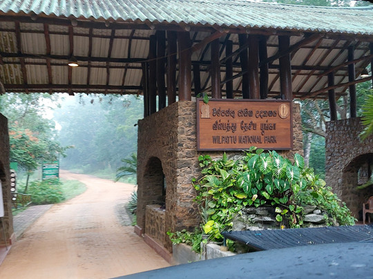 Wilpattu Safari Jeep-Wilpattu National Park必去景点