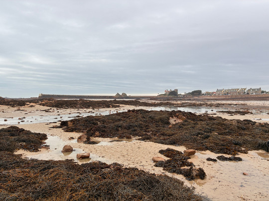 Jersey Walk Adventures-St. Helier必去景点