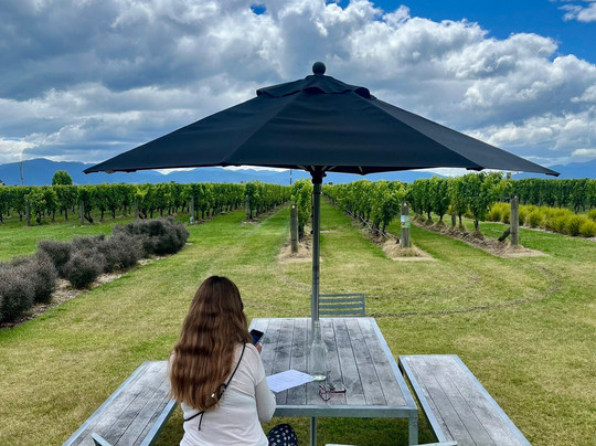 Villa Maria Estate Marlborough Winery-布伦海姆必去景点
