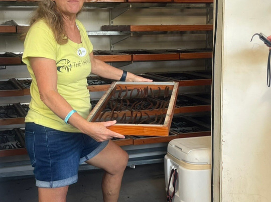 The Vanillerie-凯鲁瓦-柯纳必去景点