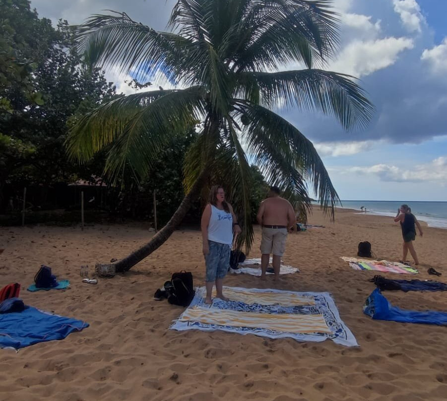 Blue Pearl-瓜德罗普岛必去景点