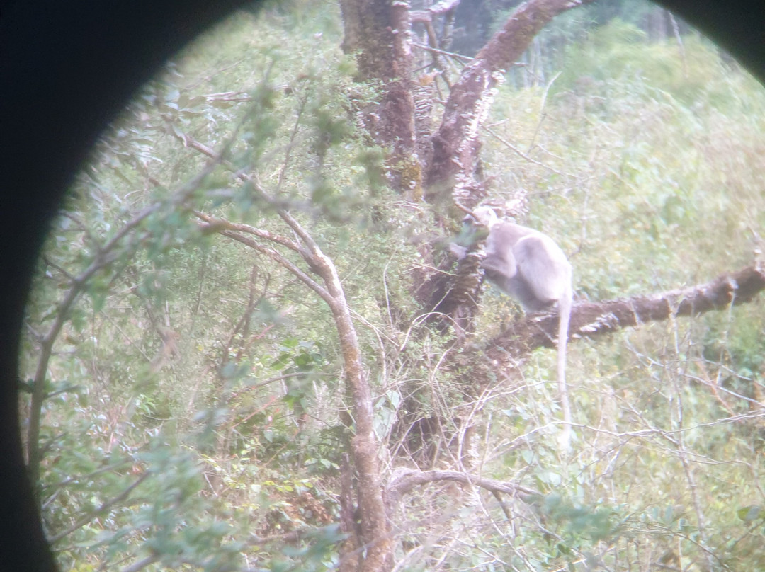 Jabarkhet Nature Reserve-马苏里必去景点