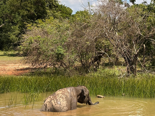 Kasun Yala Taxi Service-蒂瑟默哈拉默必去景点