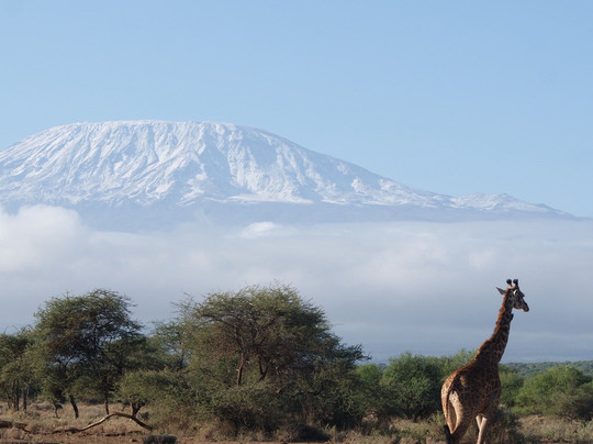 Morningstar Tours and Travel-Syokimau必去景点