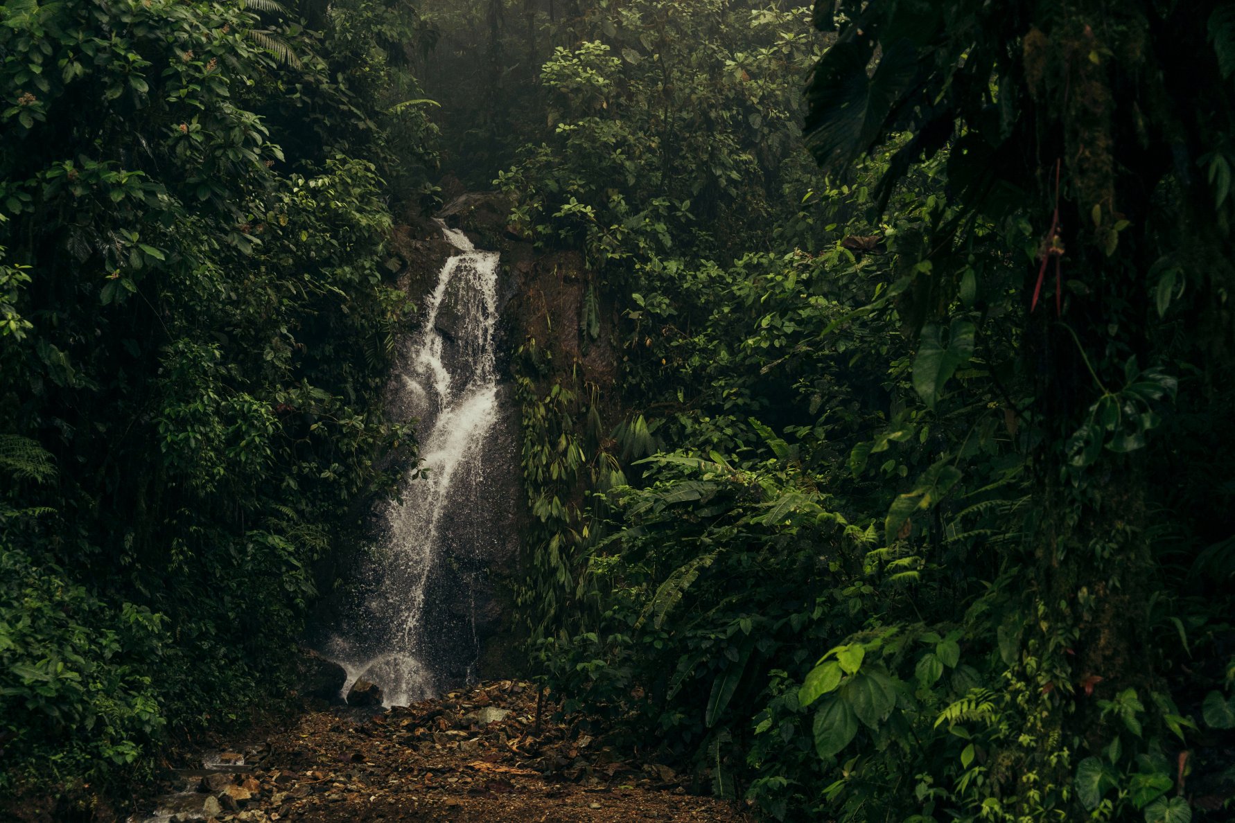 Mashpi Lodge-家庭/游戏区