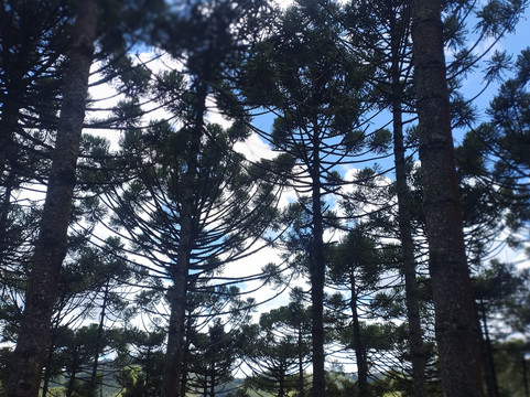 绿色生活旅馆主图