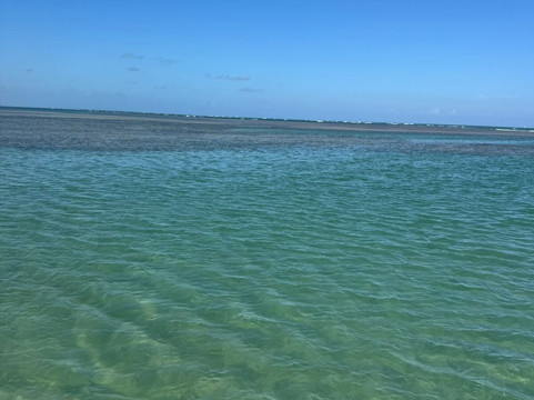 Passeios para as piscinas naturais do Patacho!-Porto de Pedras必去景点