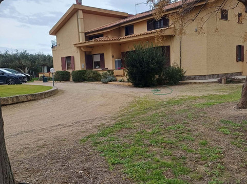 龙眼树B&B阿尔盖罗主图