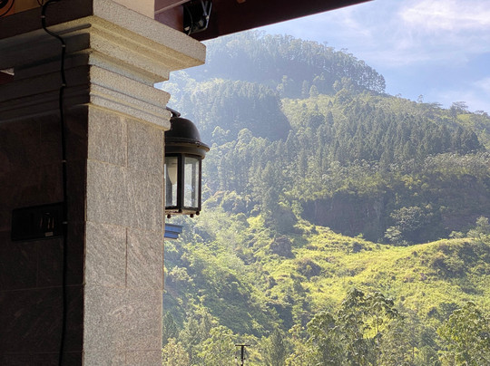 蓝田茶园-奴娃拉伊利雅必去景点