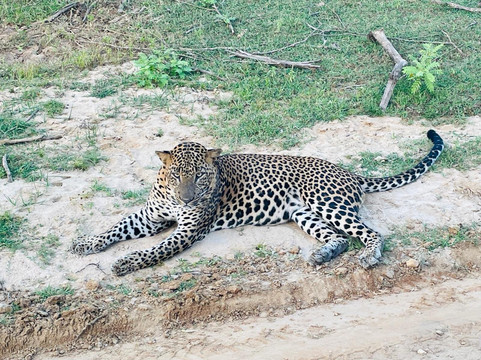 Sand Martin Tours-埃勒必去景点