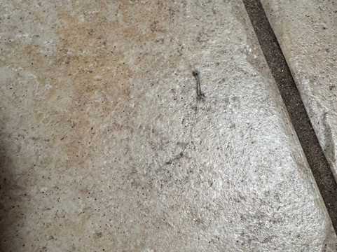 Embassy Suites Northwest Arkansas - Hotel, Spa & Convention Center主图