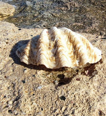 Seaworld Travel Egypt-马萨阿拉姆必去景点