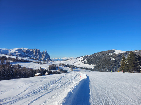Alpe di Siusi-Alpe di Siusi必去景点