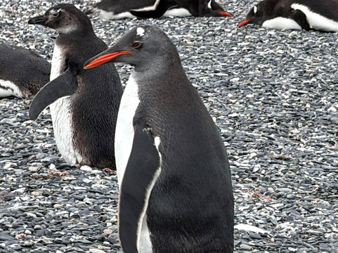 Totally Latin America-库斯科必去景点