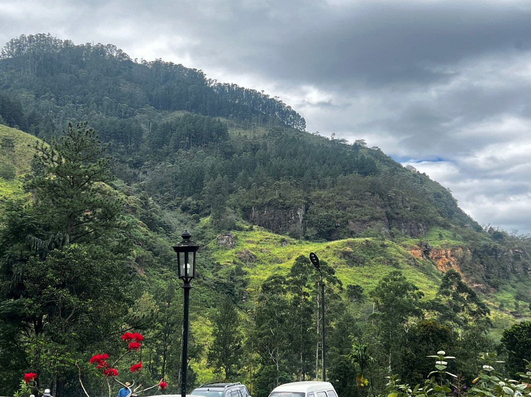 Andrews Eco Tours and Taxi-奴娃拉伊利雅必去景点