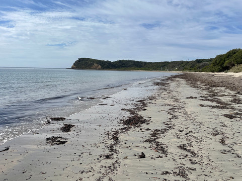 Kennon Cove Beach-弗林德斯必去景点