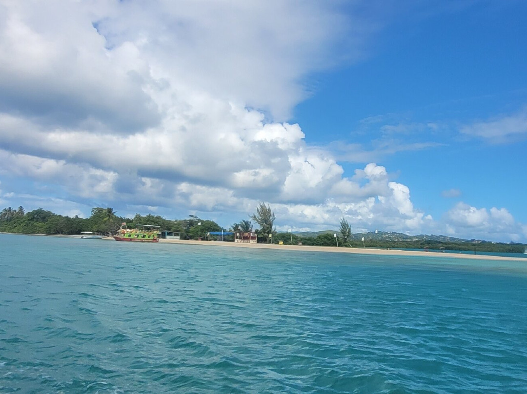 Frankie Tours & Rentals-Mount Irvine必去景点