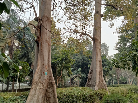 Bagh-e-Jinnah-拉合尔必去景点