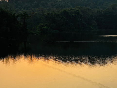 Thattekad Bird Sanctuary-Thattekad必去景点