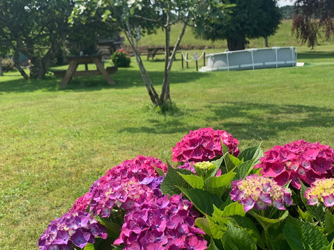 Apartamentos la Quintana de Romillo主图